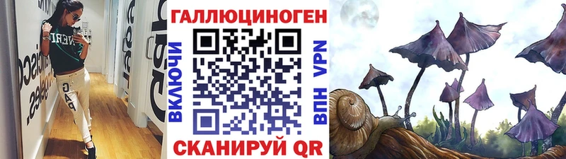 Галлюциногенные грибы Psilocybine cubensis  Мышкин 